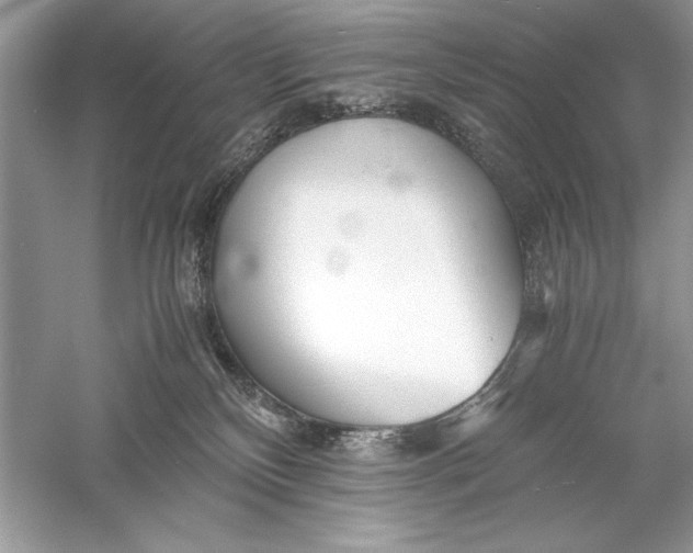 X0000056020136200509092149