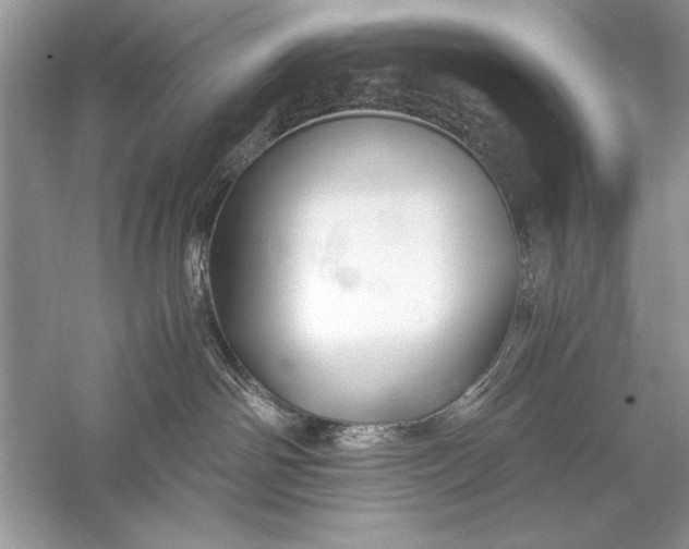 X0000056020142200509092149