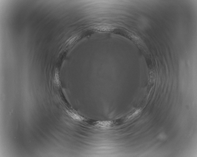 X0000056020143200509092149