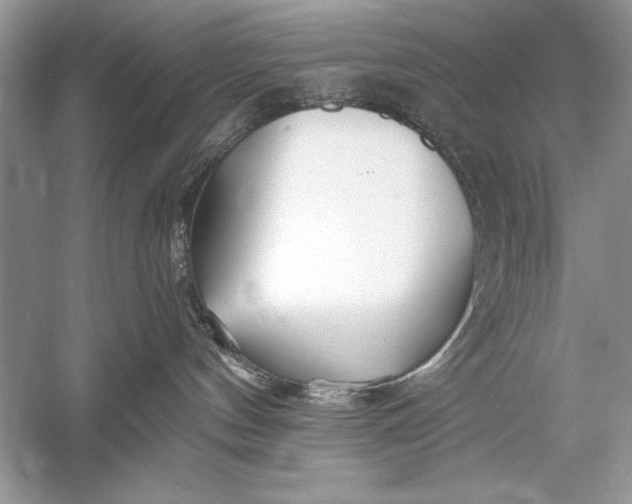 X0000056020144200509092149