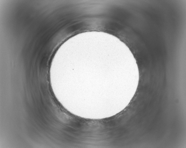 X0000056020146200509092148