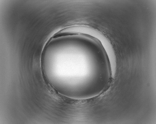 X0000056020148200509092148