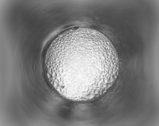 X0000056020149200509092148