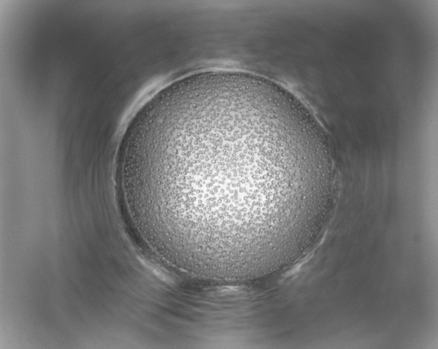 X0000056020151200509092148