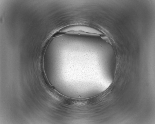 X0000056020155200509092148