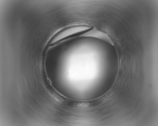 X0000056020156200509092148