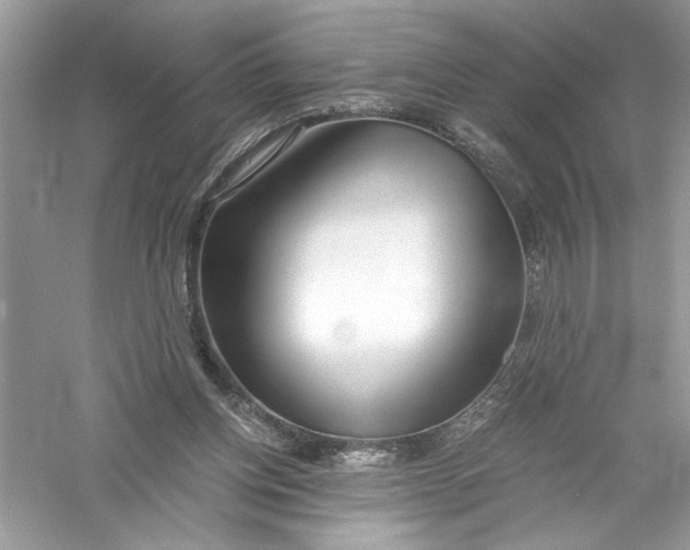X0000056020158200509092148