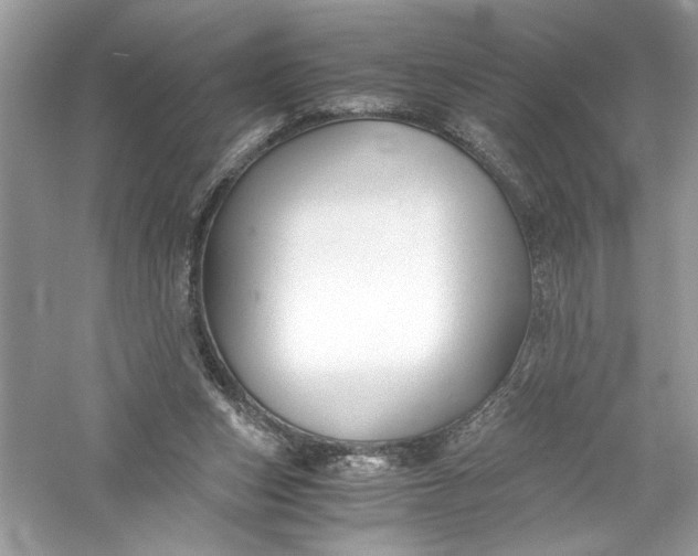 X0000056020159200509092148
