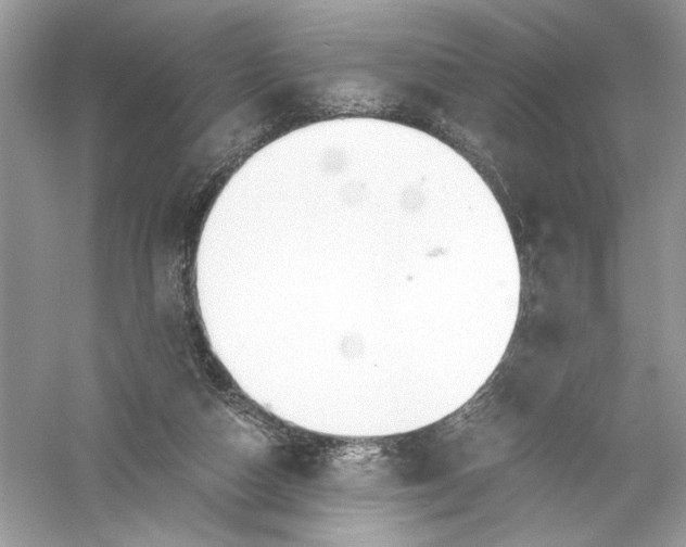 X0000056020162200509092148