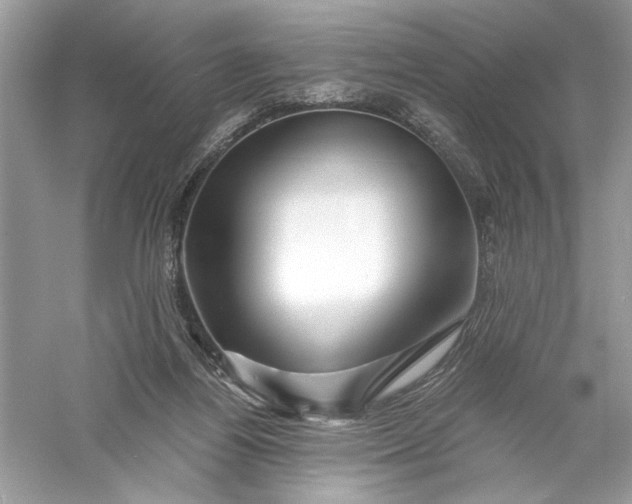 X0000056020164200509092148