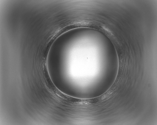 X0000056020168200509092148