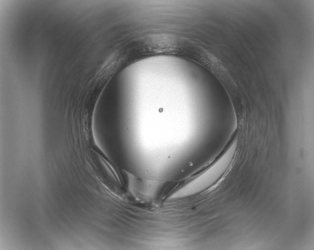 X0000056020170200509092148