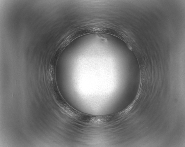 X0000056020174200509092148