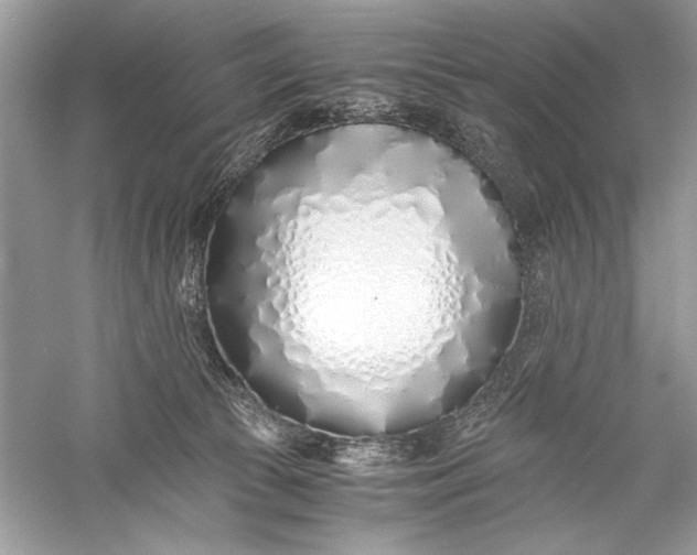 X0000056020177200509092148