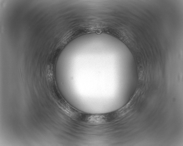 X0000056020179200509092148