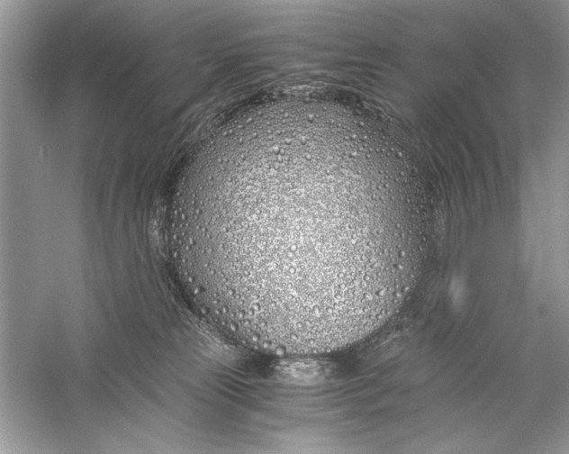 X0000056020181200509092148