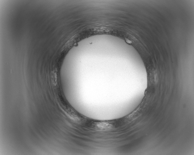 X0000056020183200509092148