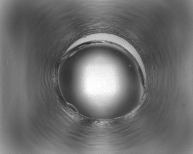 X0000056020186200509092148