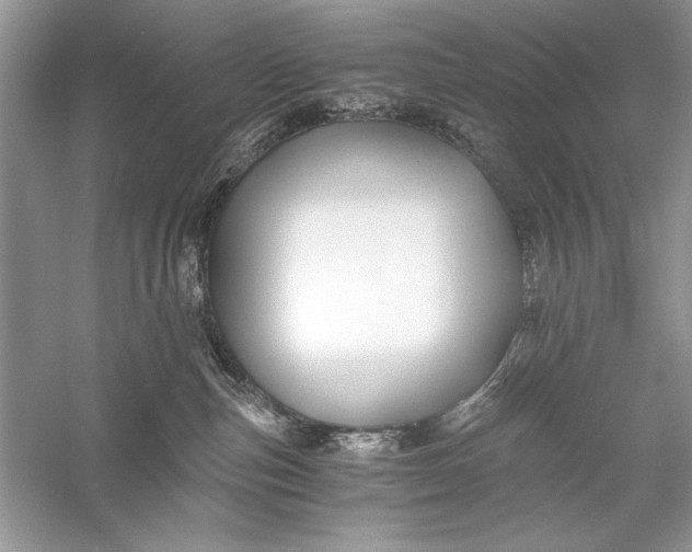 X0000056020187200509092148