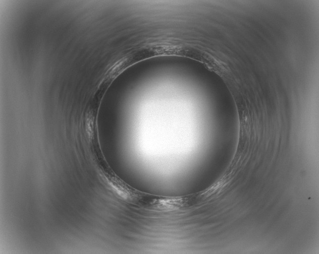 X0000056020188200509092148