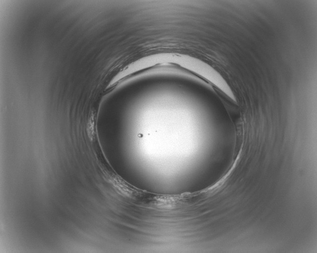 X0000056020190200509092149