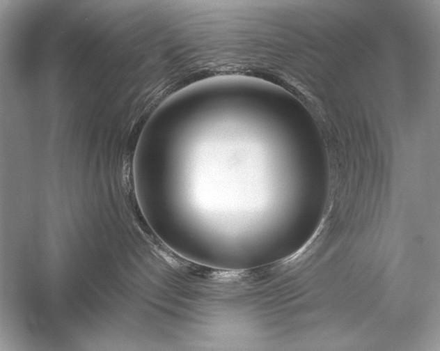 X0000056020192200509092149