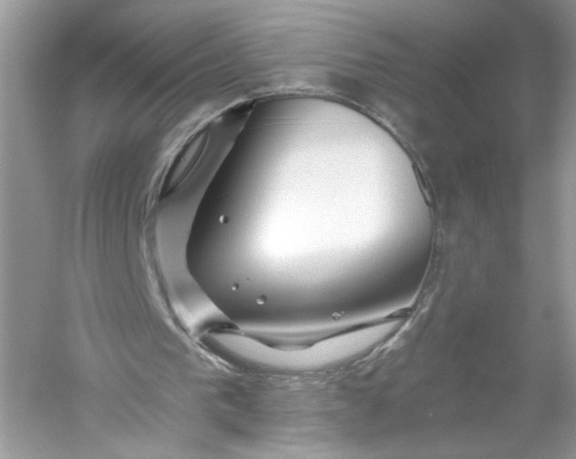 X0000056020193200509092148