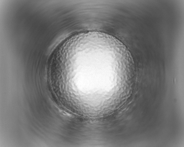 X0000056020194200509092148