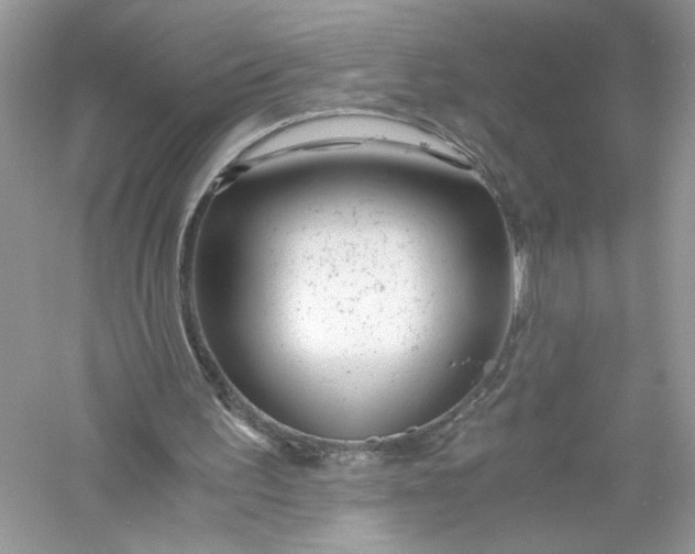 X0000056020195200509092148