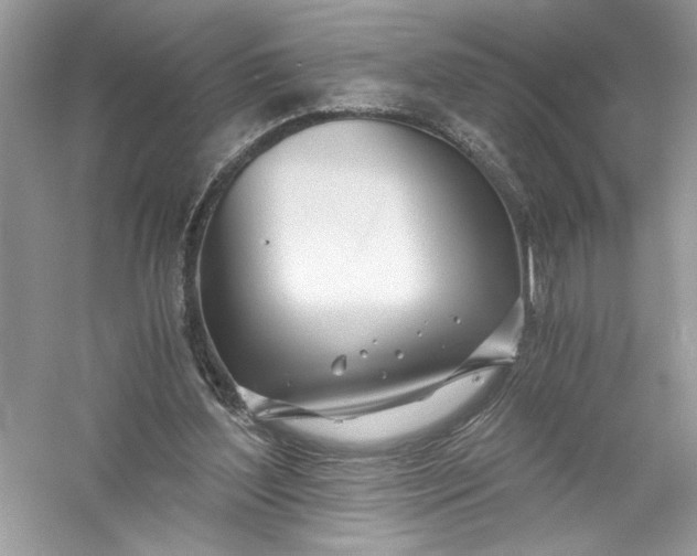 X0000056020204200509092148