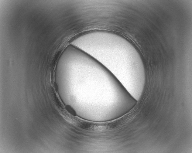 X0000056020205200509092148