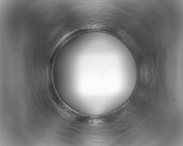 X0000056020208200509092147