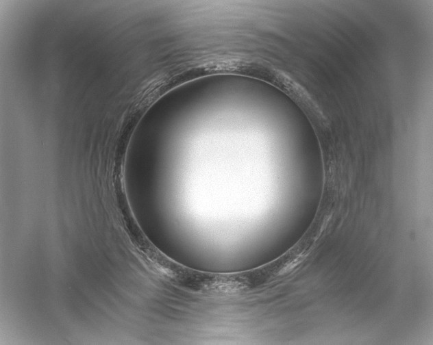 X0000056020209200509092147