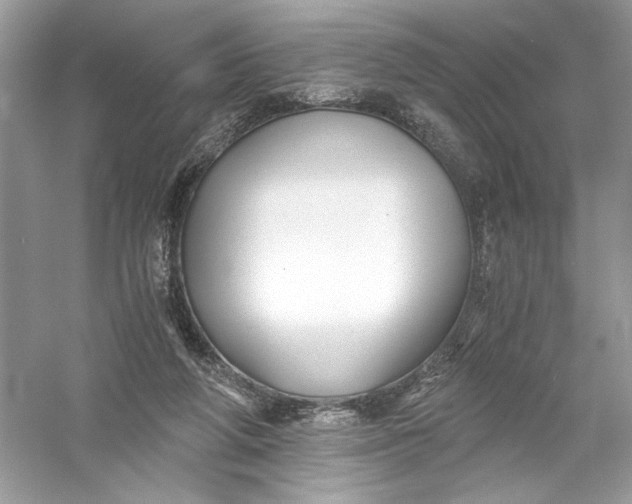X0000056020210200509092147