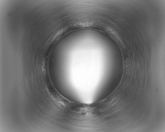 X0000056020212200509092147