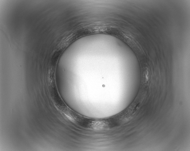 X0000056020218200509092147