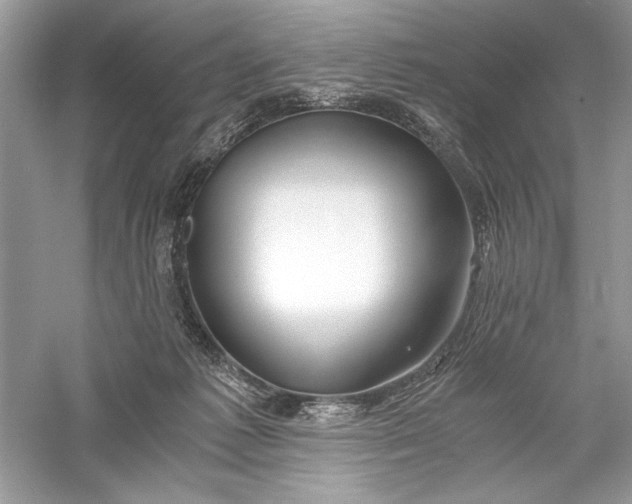 X0000056020221200509092147