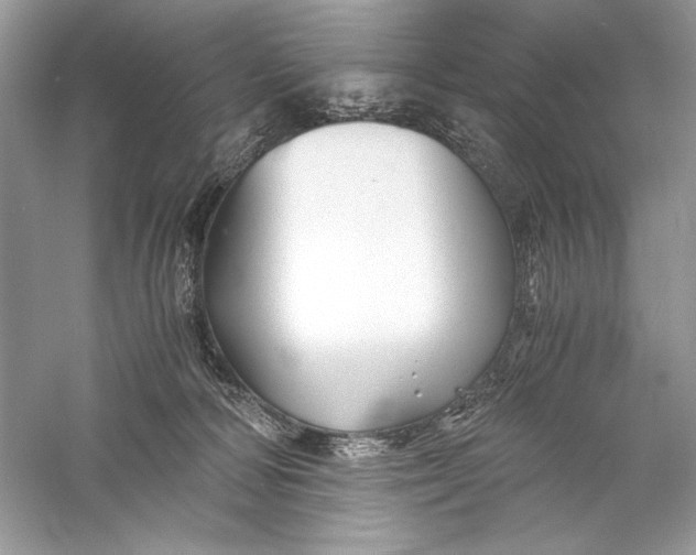 X0000056020226200509092147