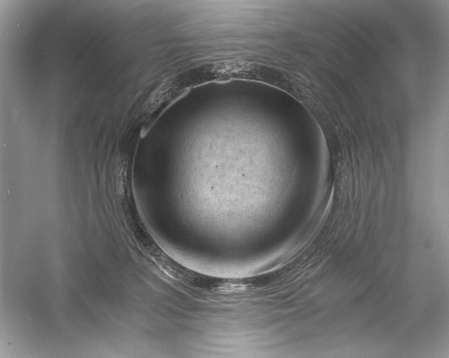 X0000056020227200509092147