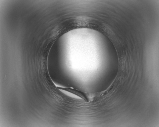X0000056020228200509092147