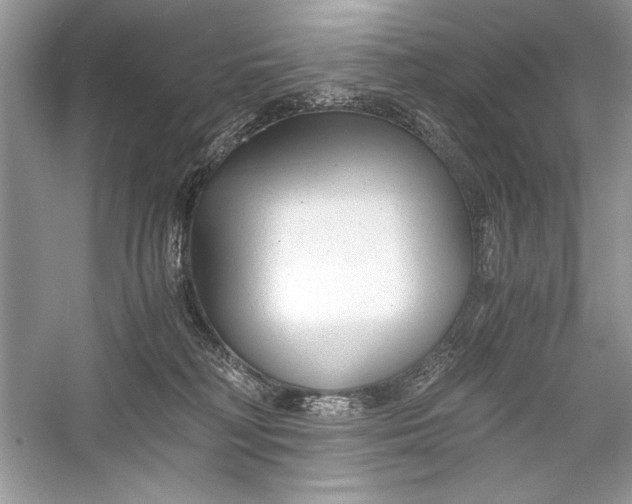 X0000056020230200509092147