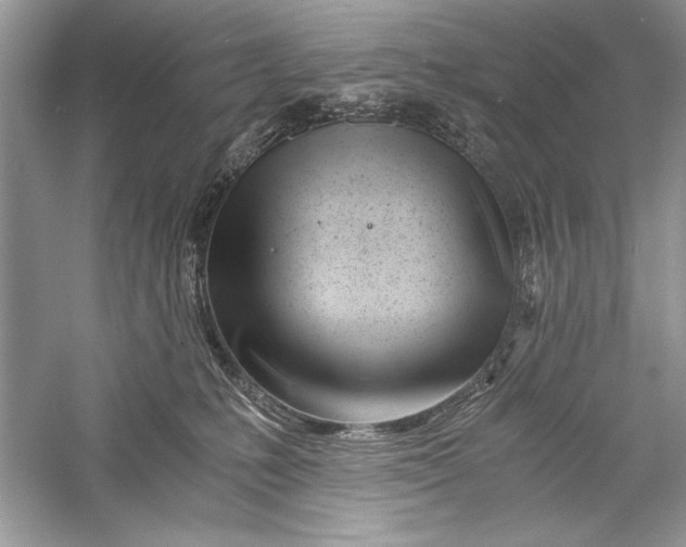 X0000056020231200509092147