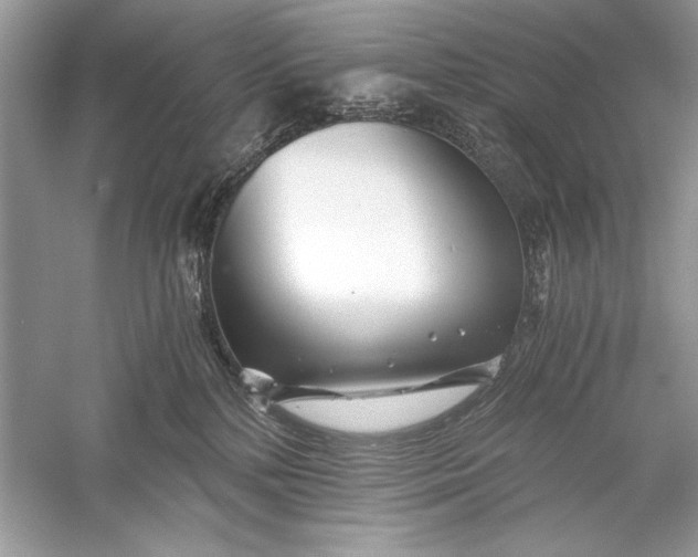 X0000056020232200509092147