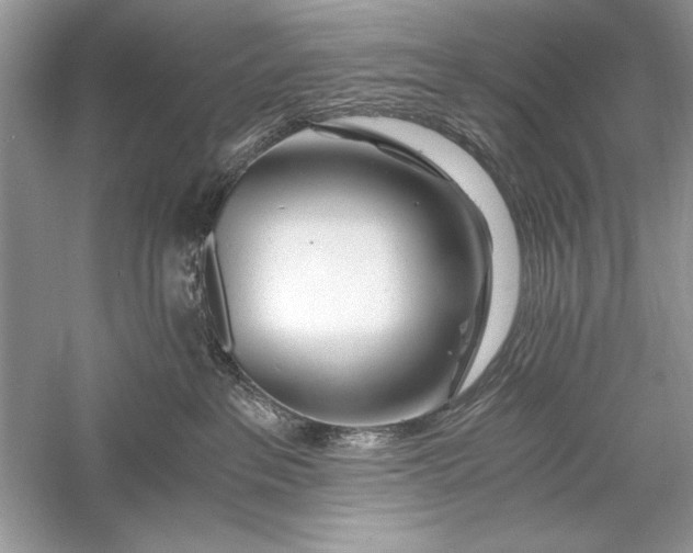 X0000056020237200509092147