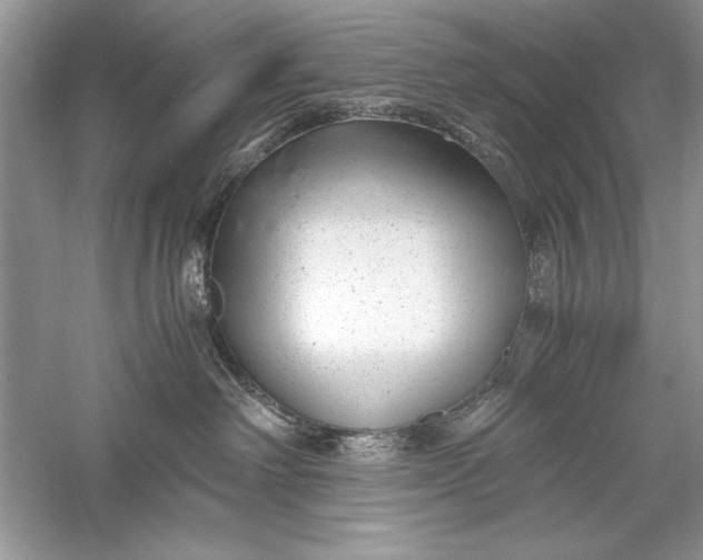 X0000056020238200509092147
