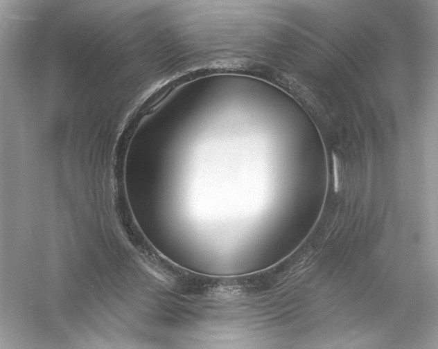 X0000056020252200509092146