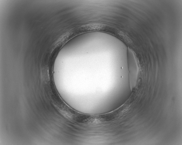 X0000056020254200509092146