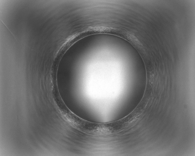 X0000056020256200509092146