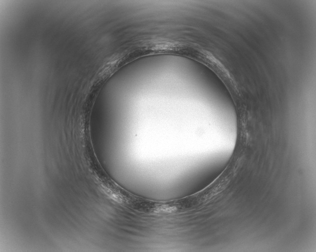 X0000056020257200509092146