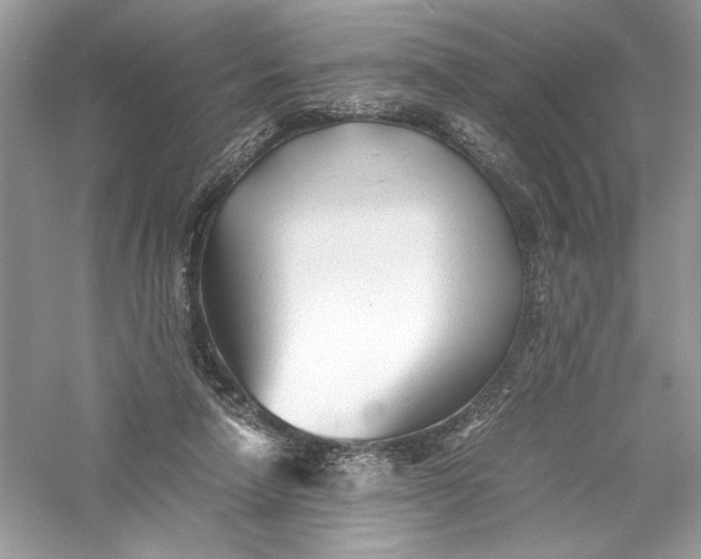 X0000056020258200509092146